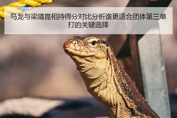 马龙与梁靖崑相持得分对比分析谁更适合团体第三单打的关键选择