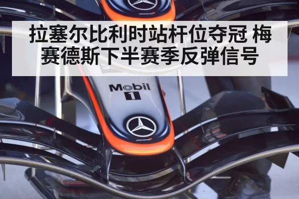 Mercedes F1 car weight inspection