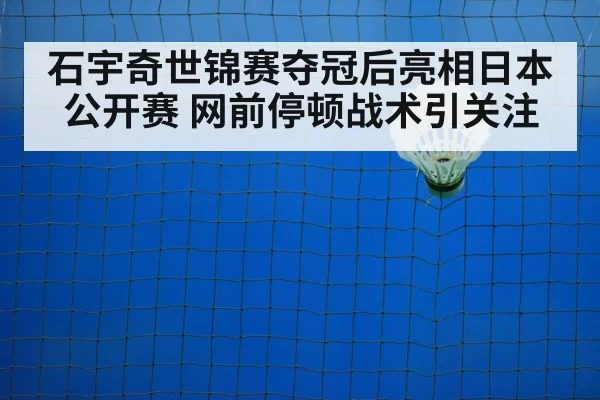 badminton net shot